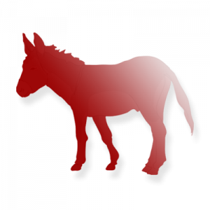 Poker Donkey