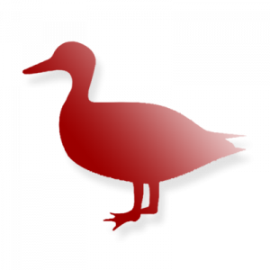 Poker Duck